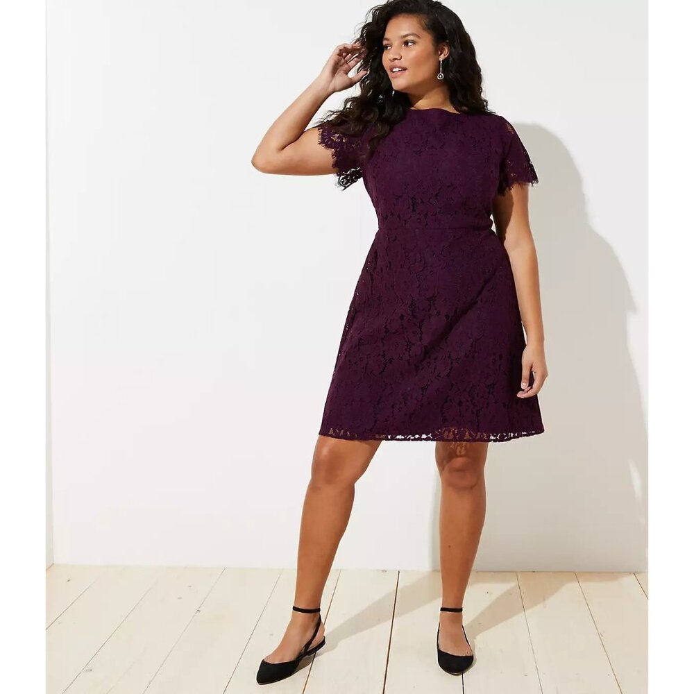 NWT Ann Taylor LOFT Womens Plus Size 18 Purple Lace Mini Flare Dress NEW